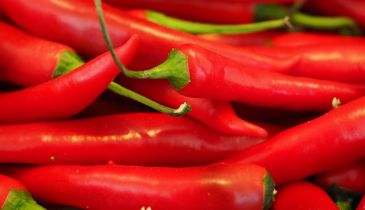 How spicy chilis can help you at tennis?