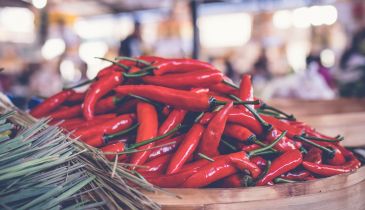 How long do chillies take to grow?